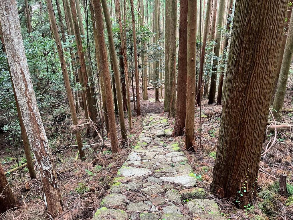山の宿大樽風呂のたけのこ