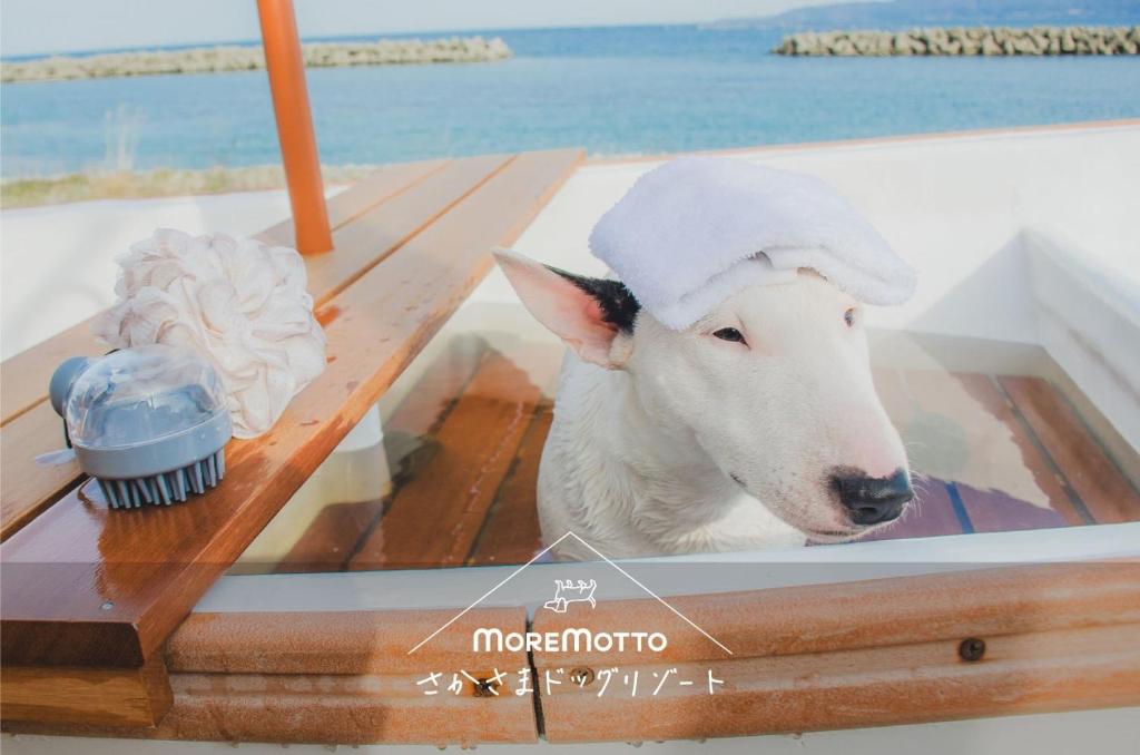 佐渡古民家一棟貸切 愛犬と泊まれるMoremottoさかさまドッグリゾート
